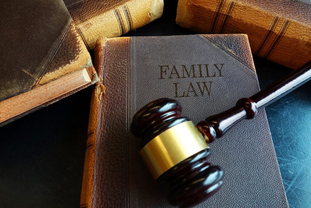 The Family Law Process in a Nutshell